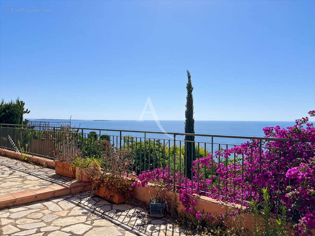 Appartement à THEOULE-SUR-MER