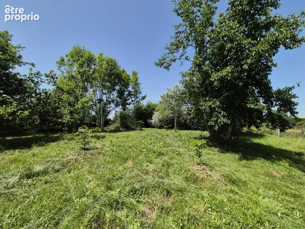 Charmante Maison Bretonne avec Jardin - photo 19