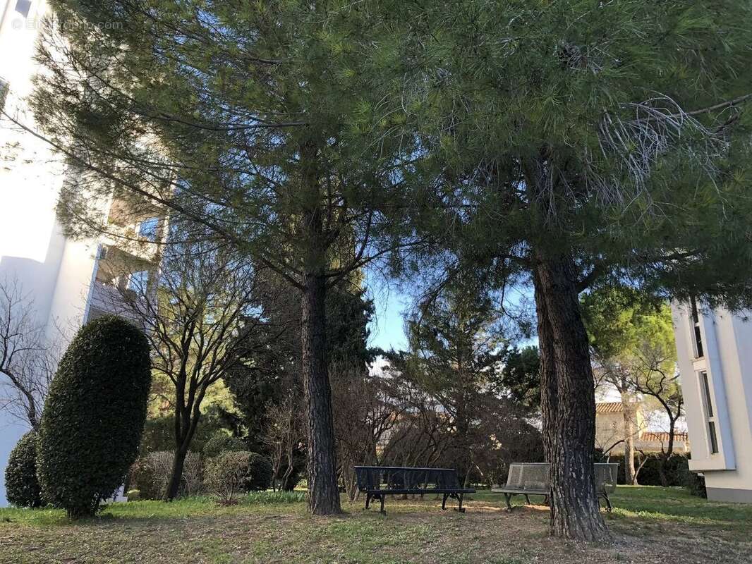 4 pieces proche parc montcalm - photo 16