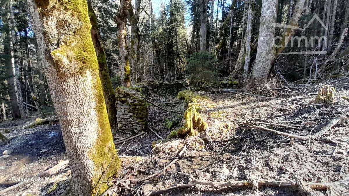 Terrain à MONTENDRY