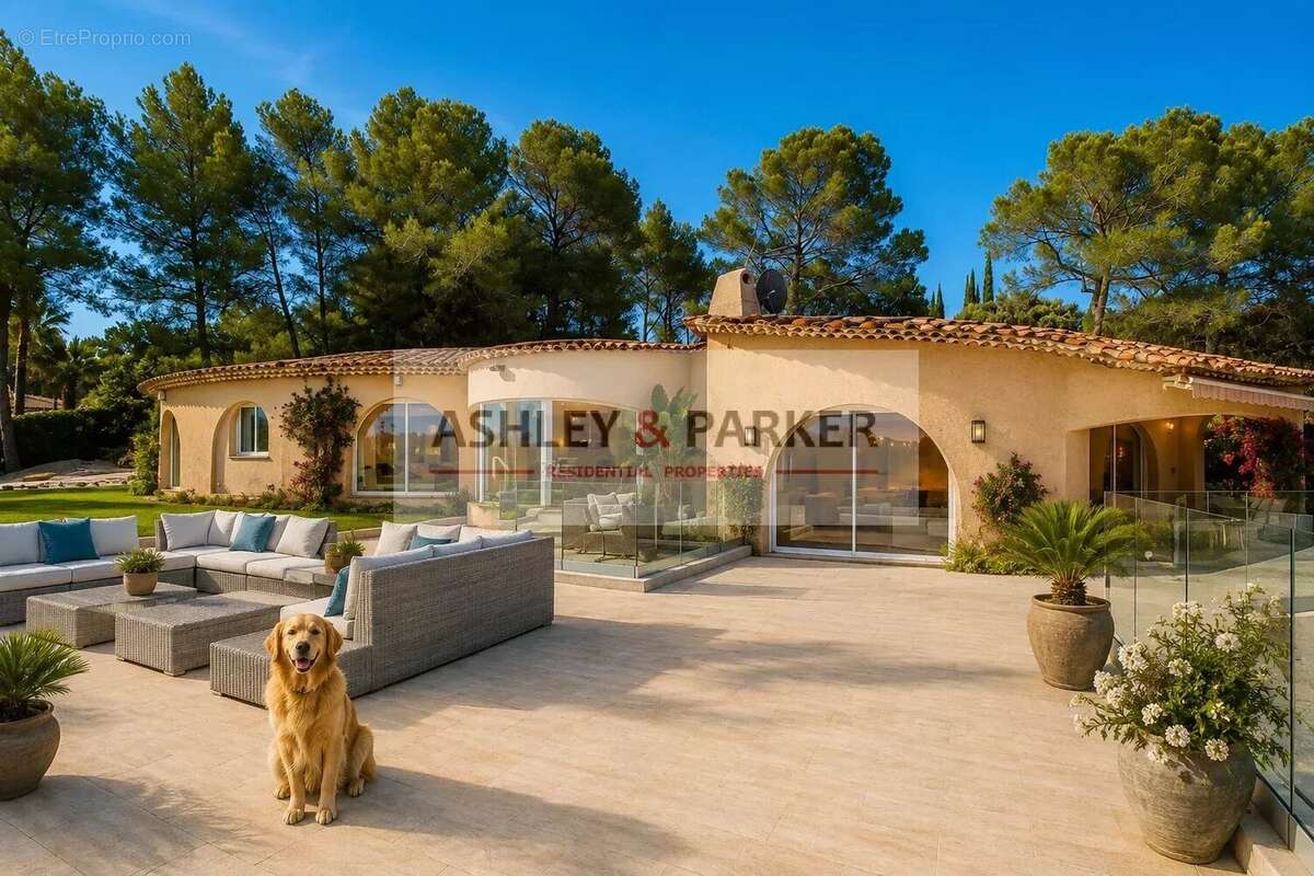 Villa 8 chambres - photo 3