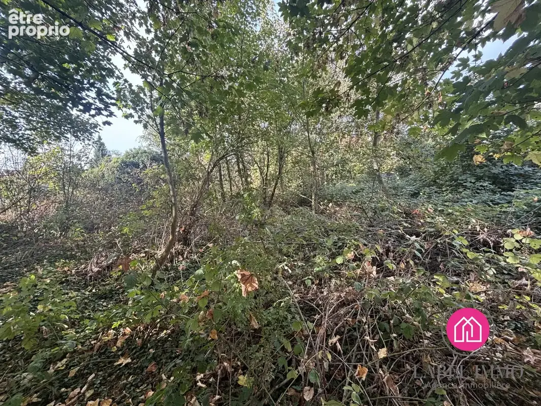 Terrain 527 m² à vendre à Wallers (59135) - photo 4