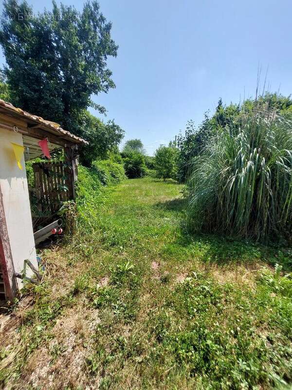 20250704115627 - Maison à SAINT-MARTORY