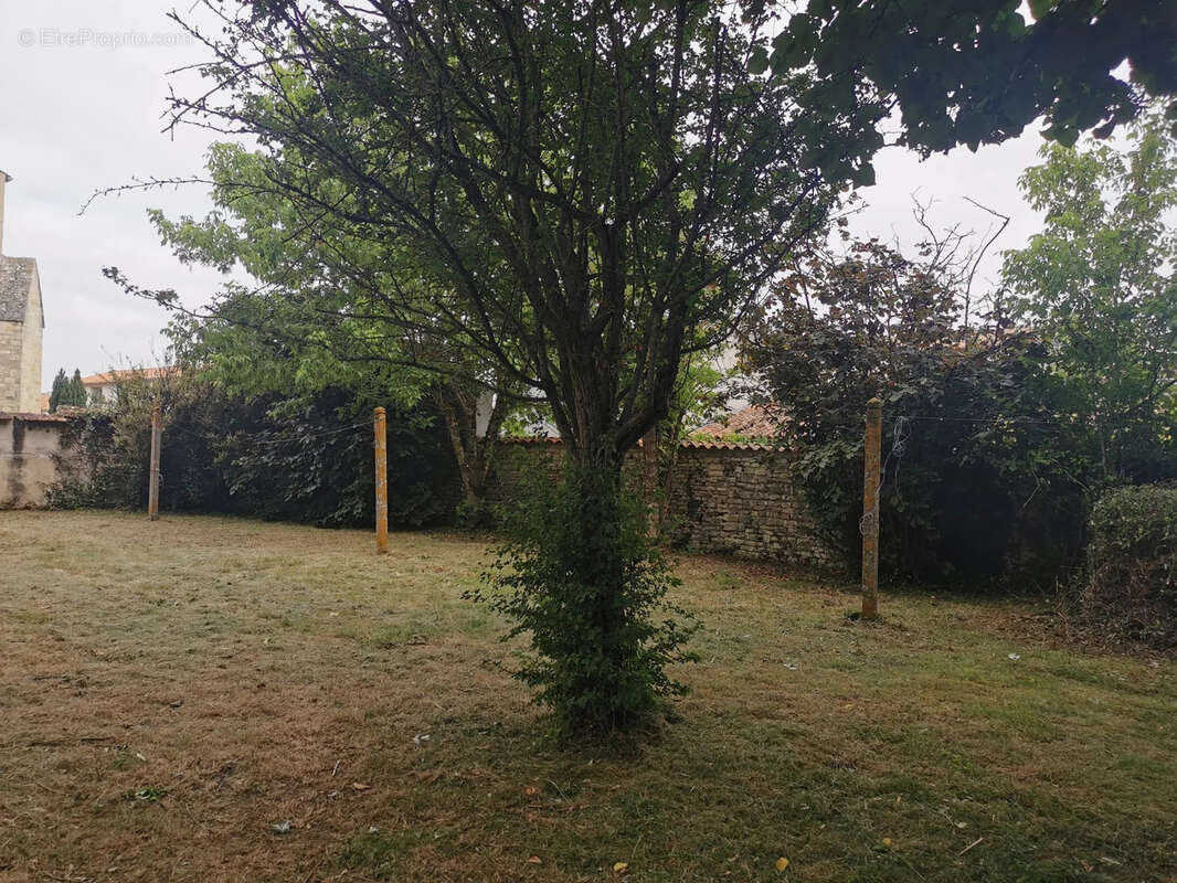 Terrain à SAINTE-SOULLE