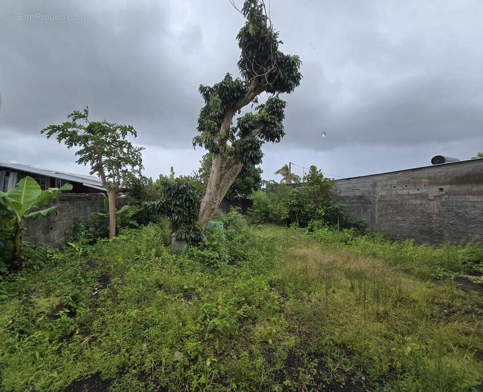 Maison à SAINT-ANDRE