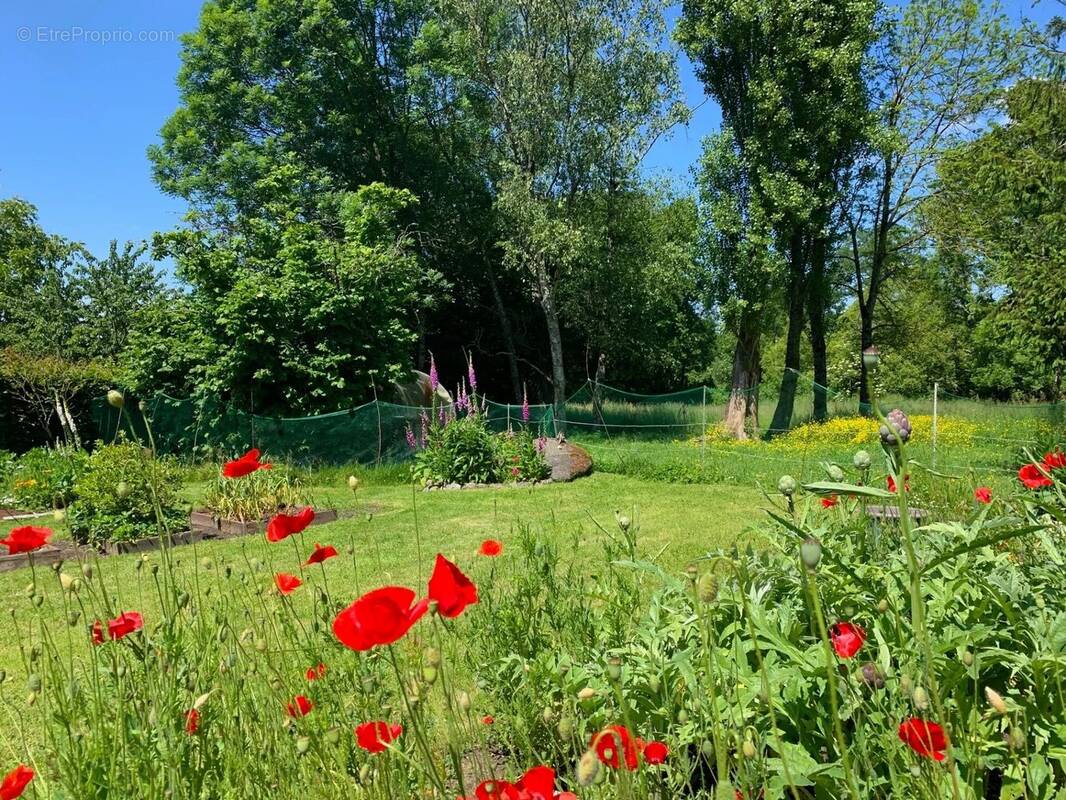 Maison à MONCOUTANT