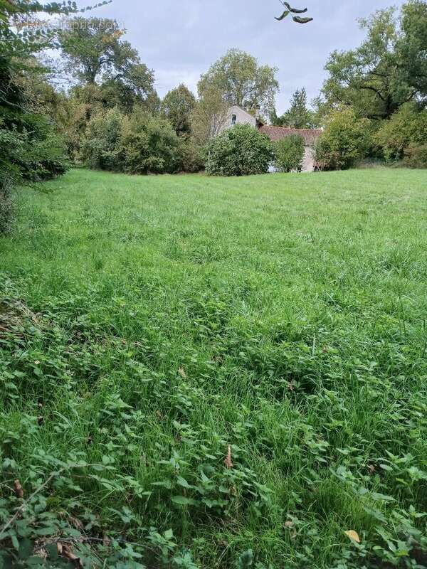 Terrain constructible - photo 7