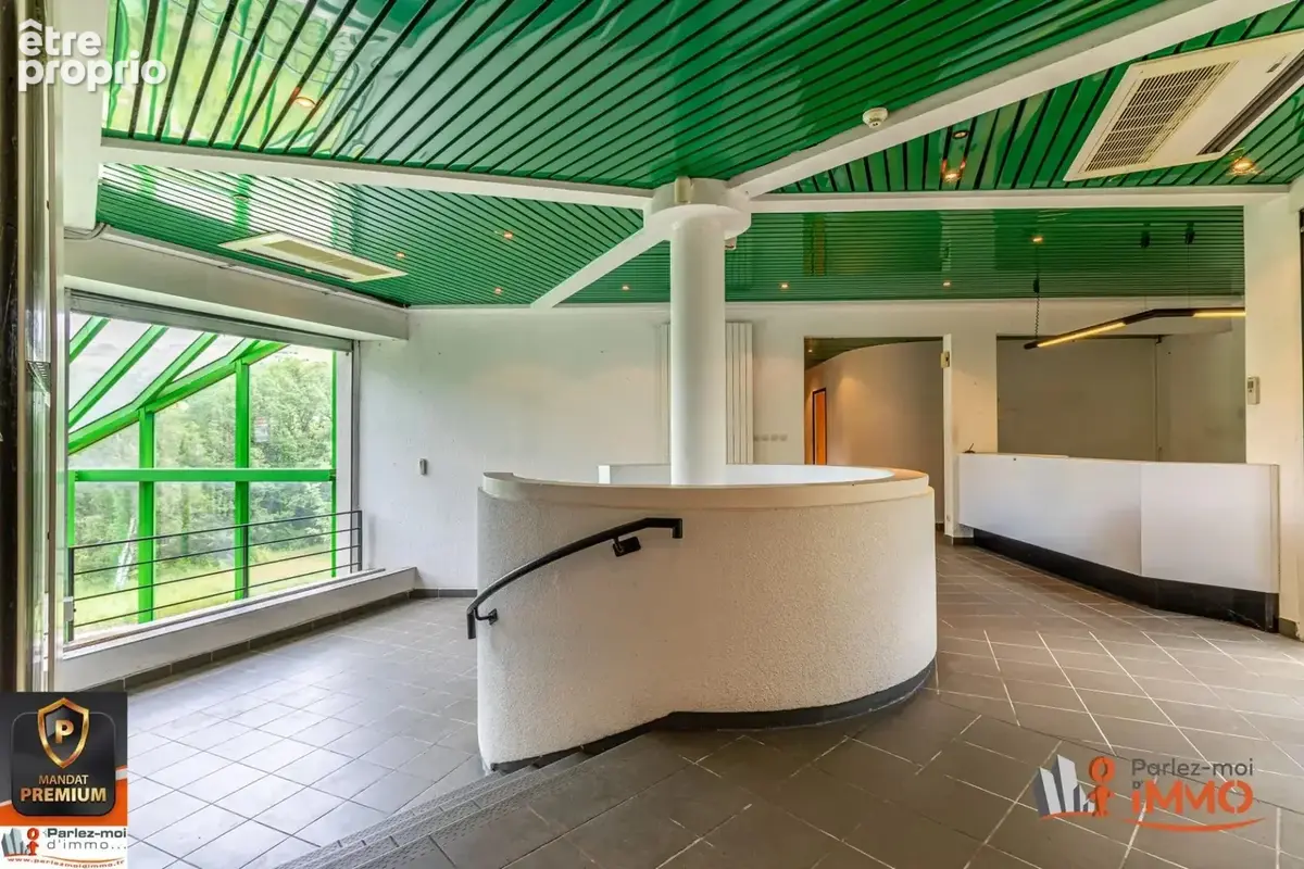 Immobilier Professionnel à vendre Brussieu - photo 8