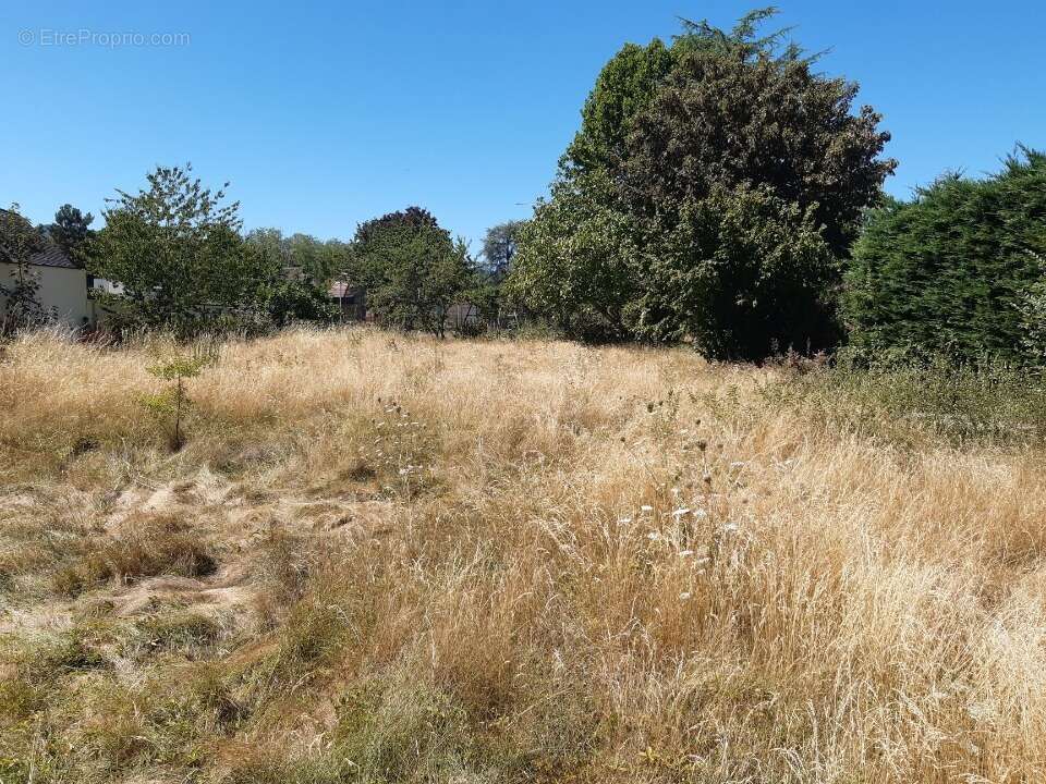 Terrain 705 m² à Obernai  - photo 2
