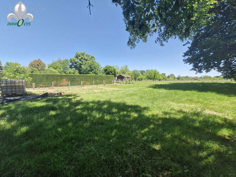 Maison à AUVILLARS-SUR-SAONE