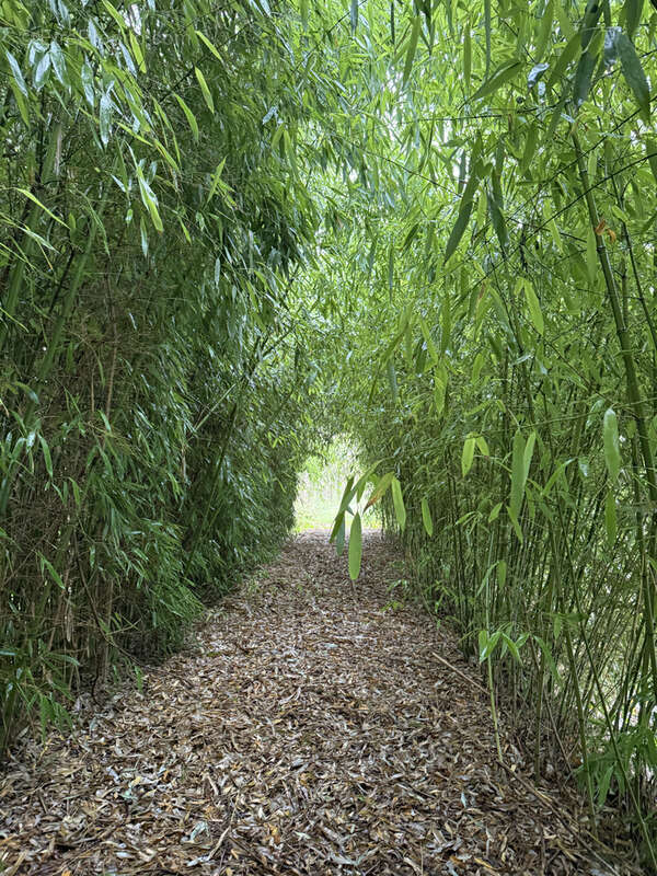 Terrain à SAINT-SYMPHORIEN-D&#039;ANCELLES