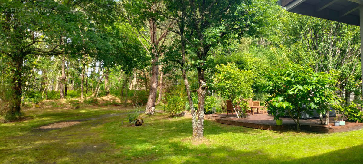 Maison de plain-pied avec jacuzzi et terrain arboré en lisière de forêt - photo 15