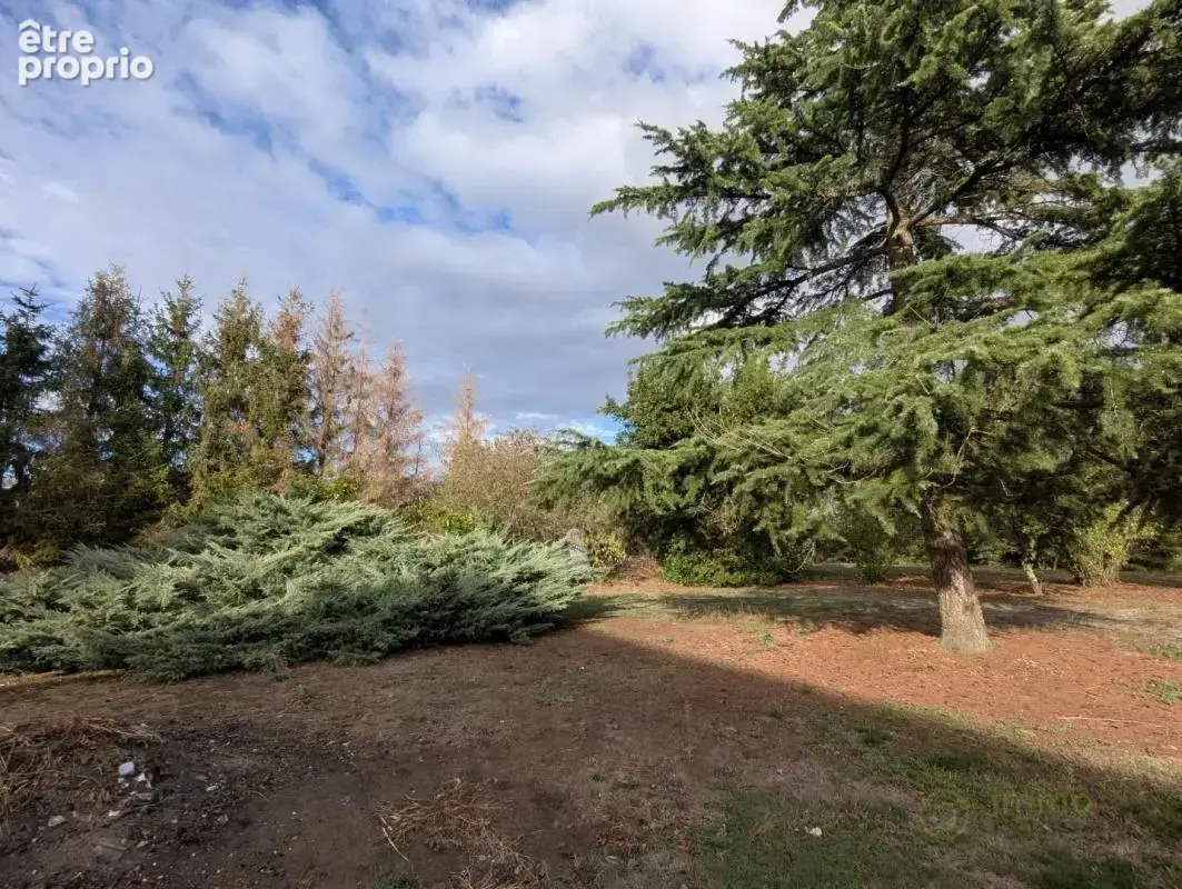 Maison et terrain - photo 11