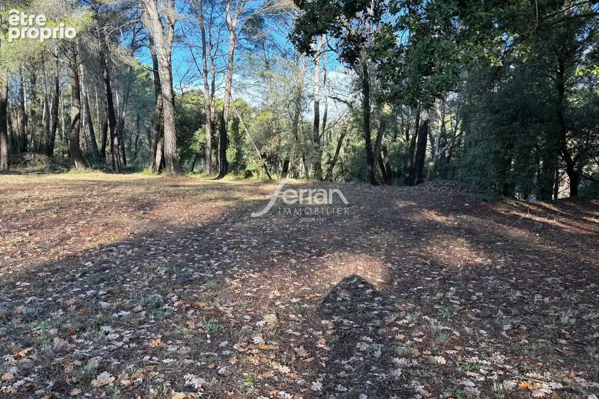 Terrain 7 100 m² à vendre à Callas (83830) - photo 4