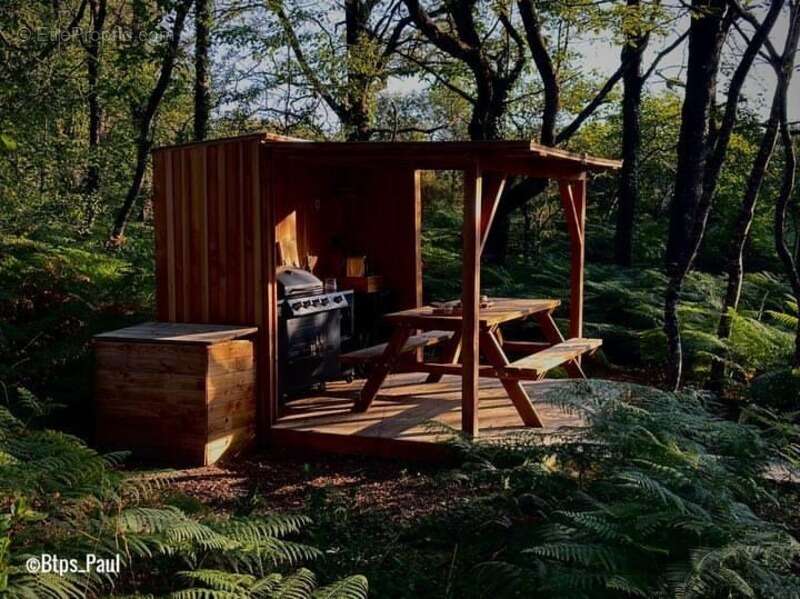 Opportunité d'affaires exceptionnelle : domaine de 24 hectares comprenant 15 hectares d'étangs, parfait pour divers projets tour - photo 7