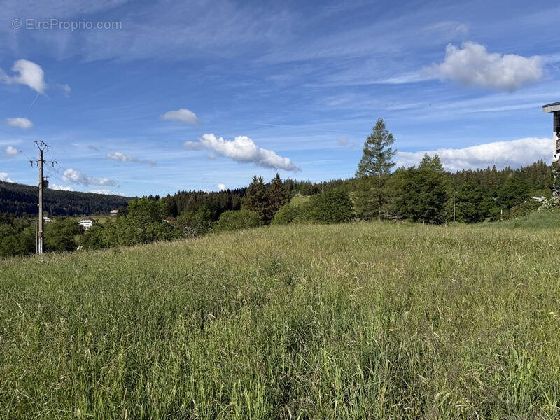 Terrain à LAMOURA