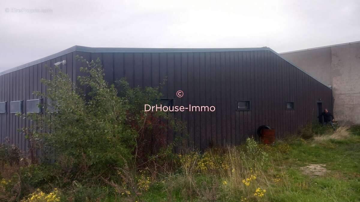 Commerce à CUSSAC-SUR-LOIRE