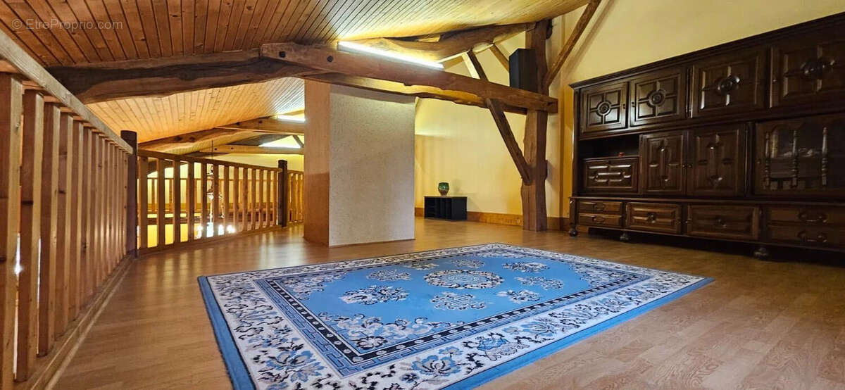 Maison 410 m² à Saint-Pardoux-Isaac  - photo 9