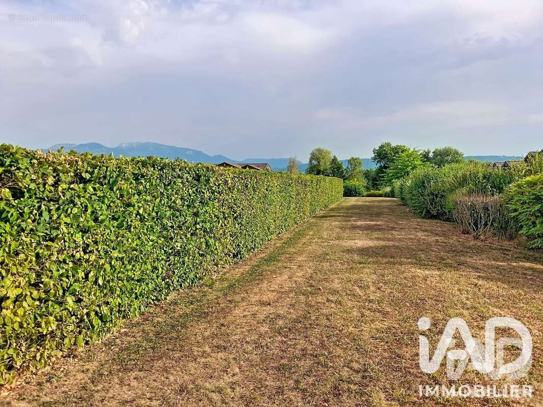 Appartement 36 m² à Nangy  - photo 6