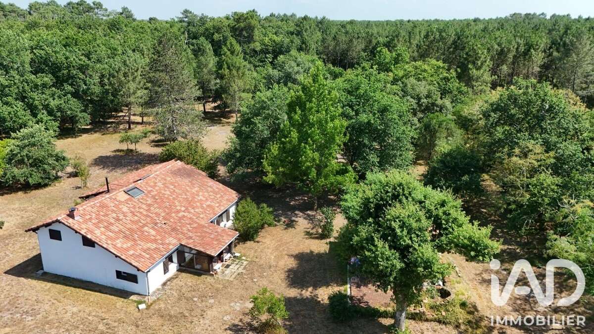 Maison 209 m² à Saugnacq-Et-Muret  - photo 3