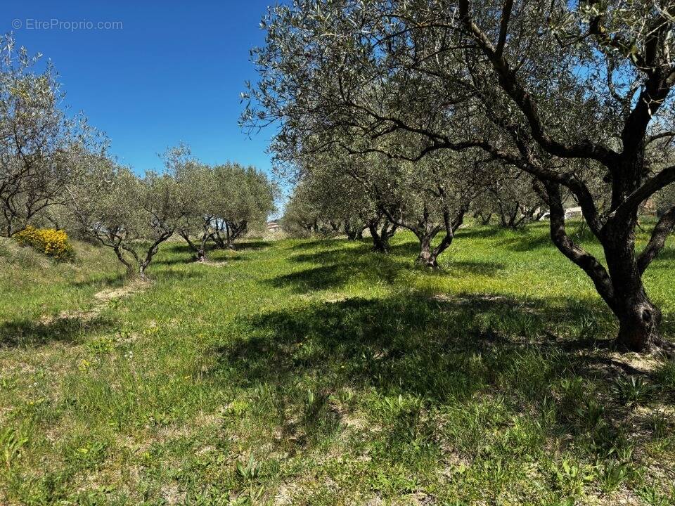 Terrain à VAGNAS