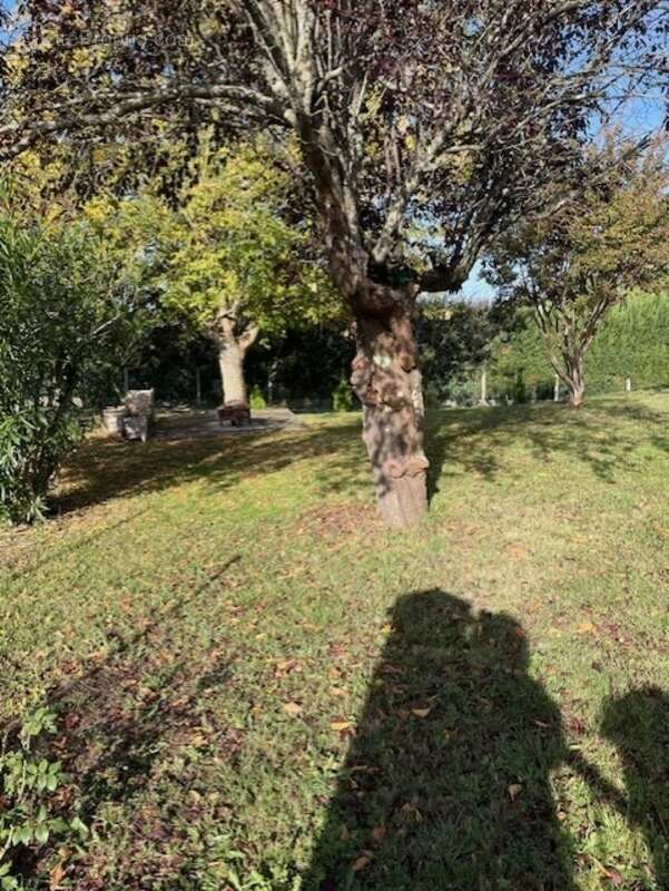 Appartement à SAINT-GENIES-BELLEVUE