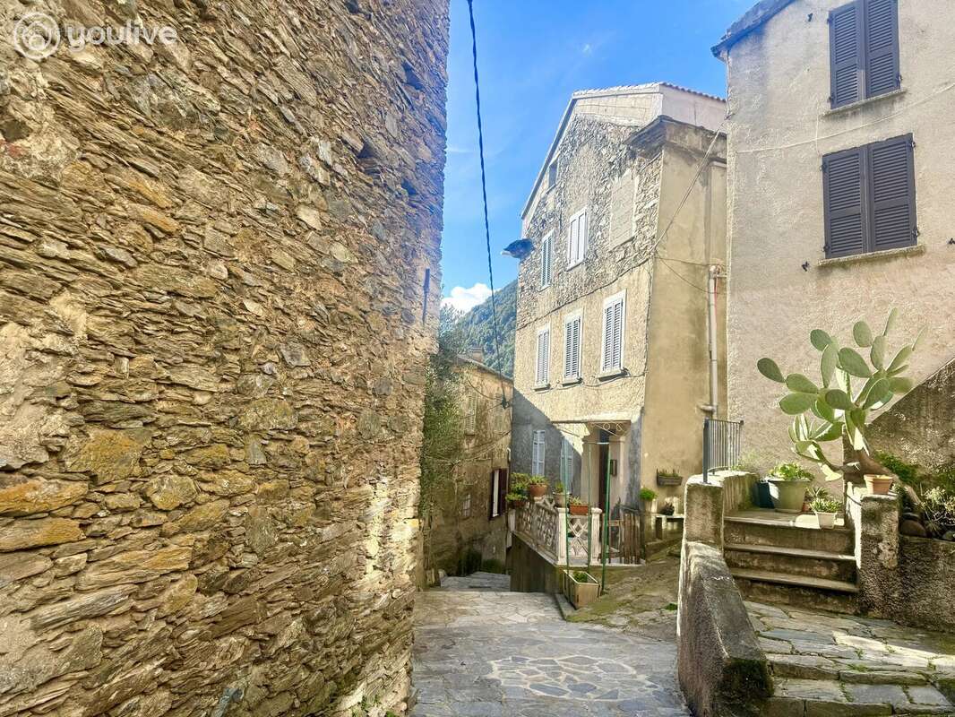 Appartement à CERVIONE