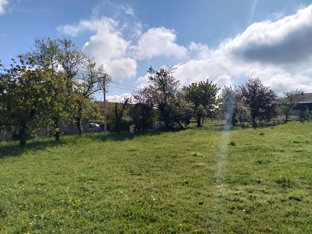 Terrain à SAINT-MAURICE-EN-RIVIERE