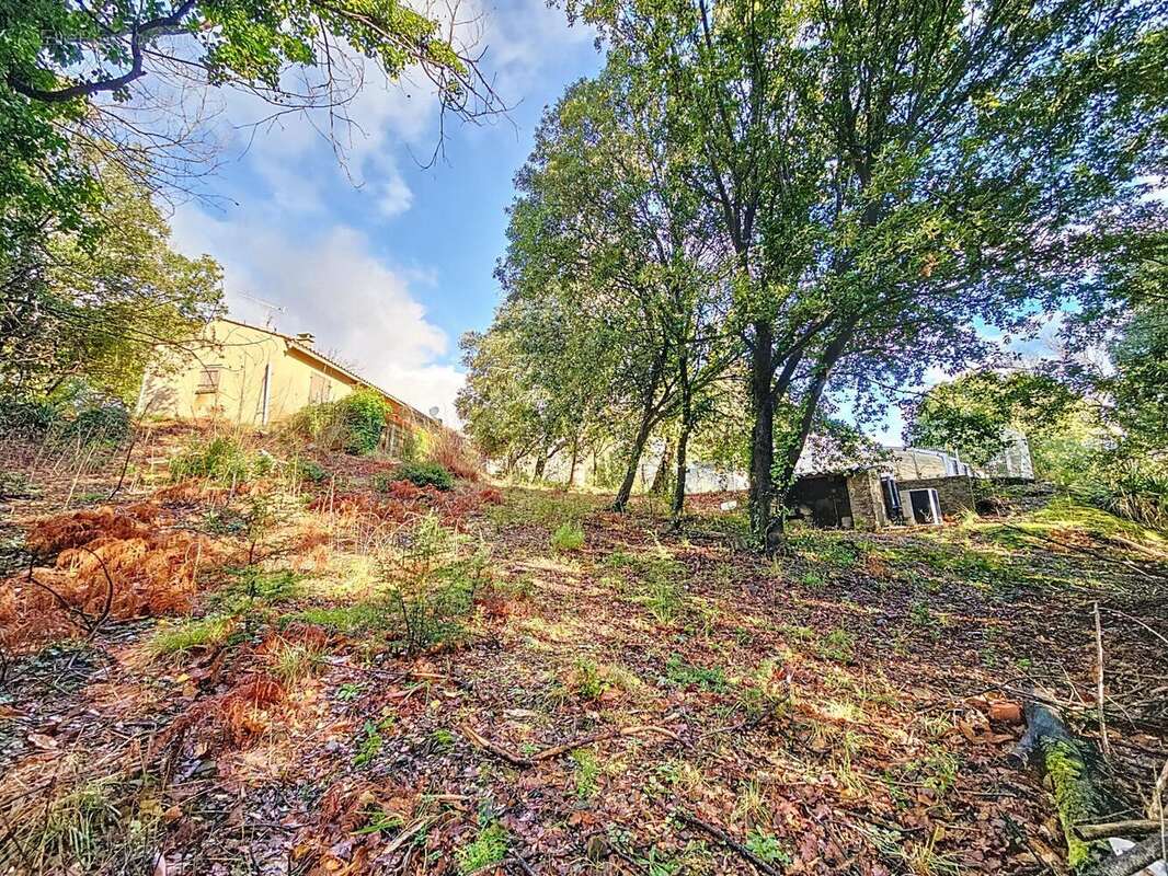 Photo 2 - Maison à OLARGUES