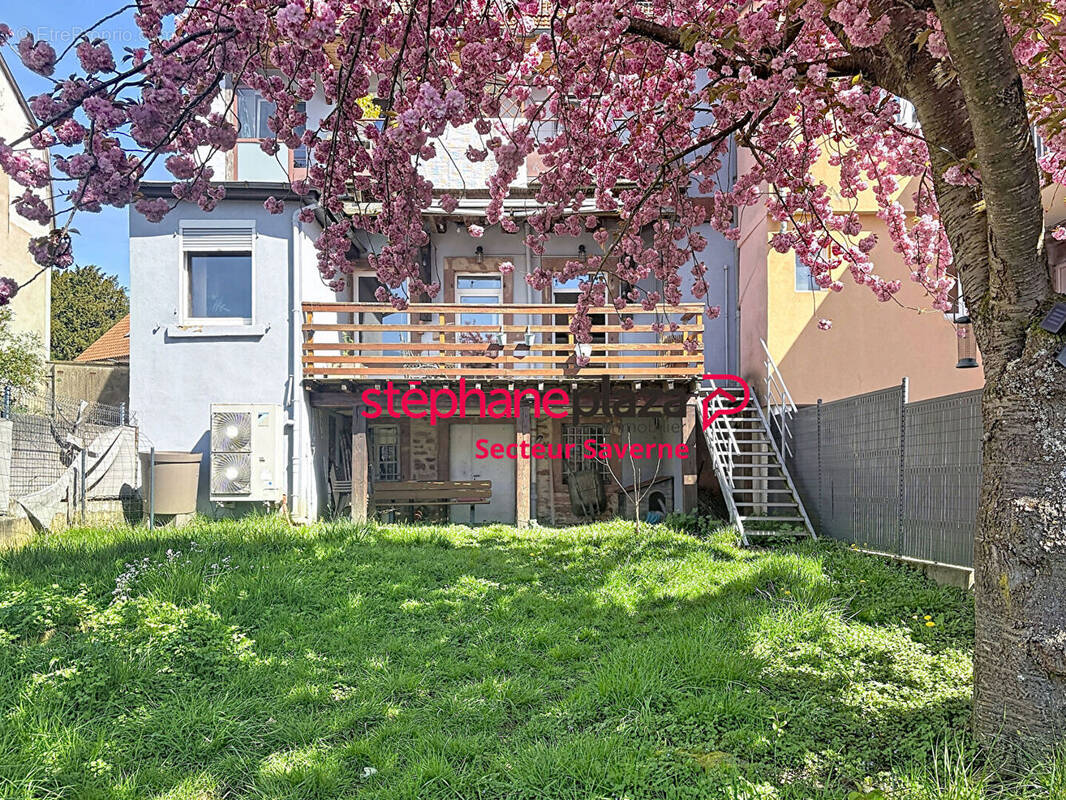 Appartement à SAVERNE