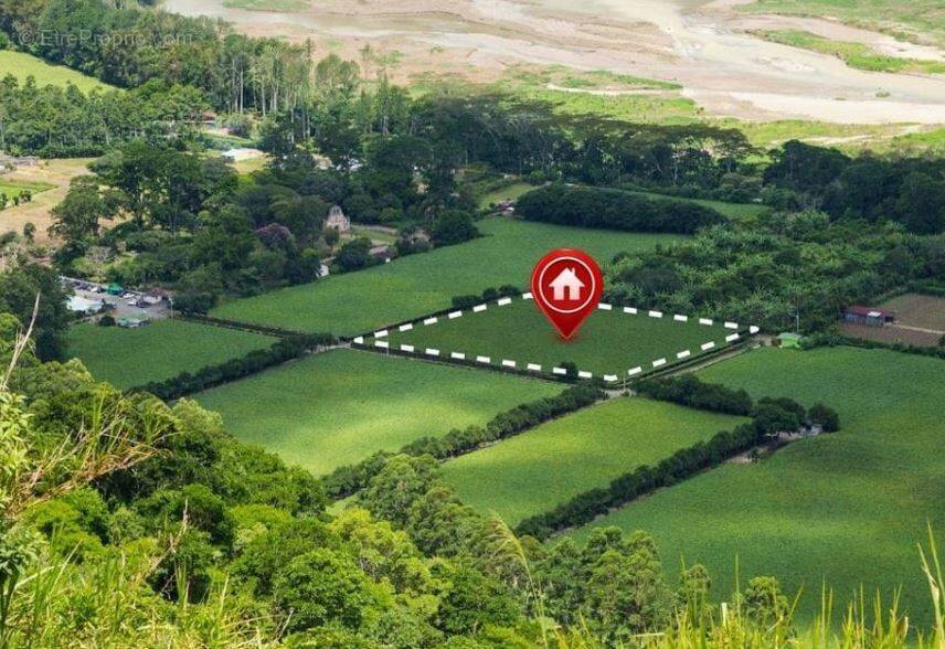 Terrain à VILLEDOUX