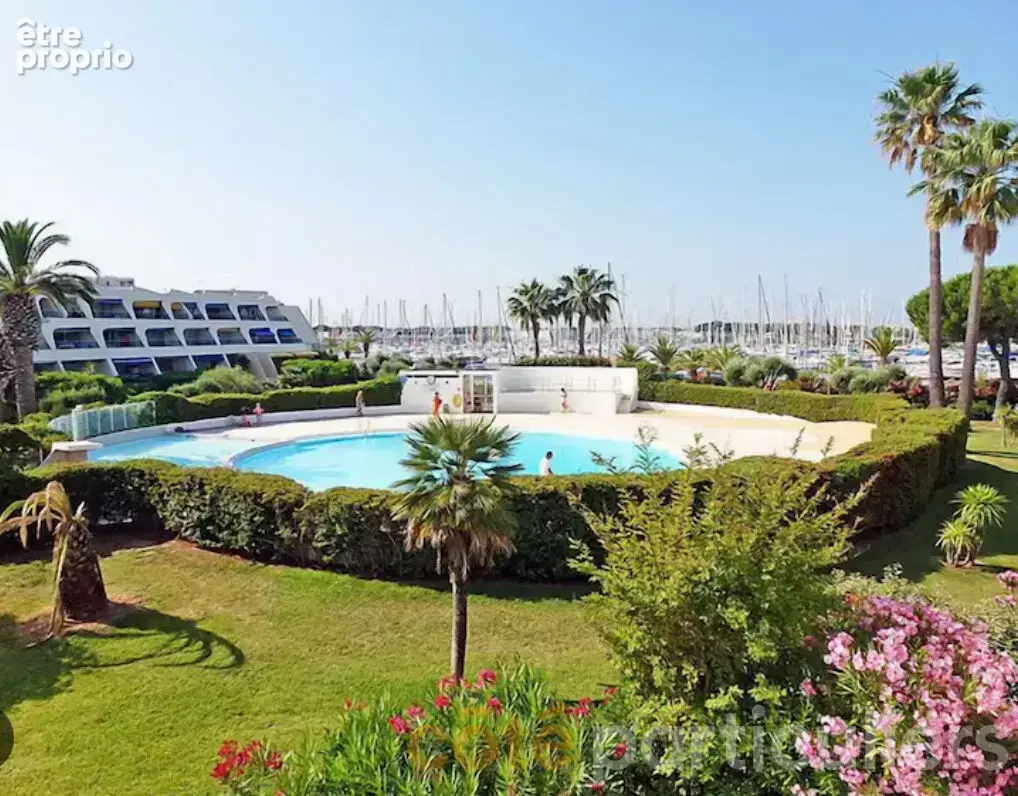 Port Camargue - Studio rénové avec loggia et piscine - photo 5