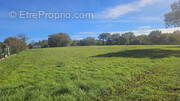 Terrain à LE DORAT