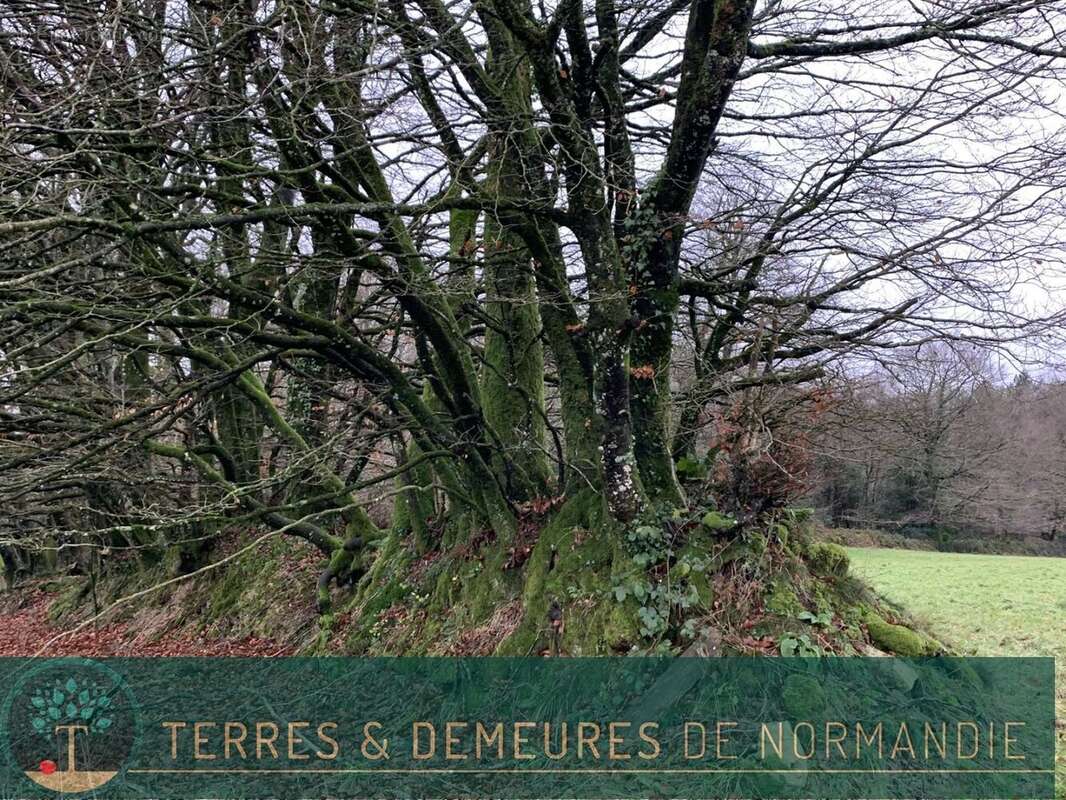 Terrain à SOURDEVAL