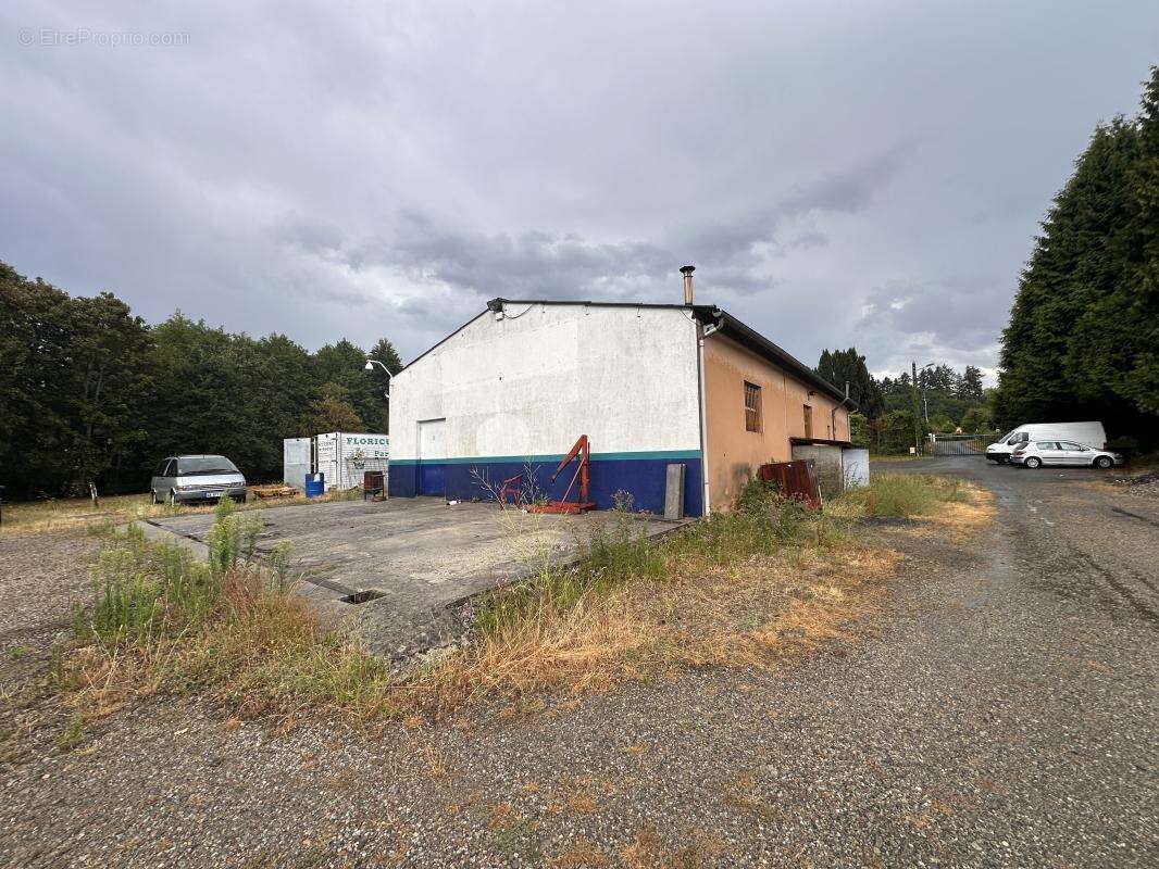 Locaux/Biens immobiliers - photo 6