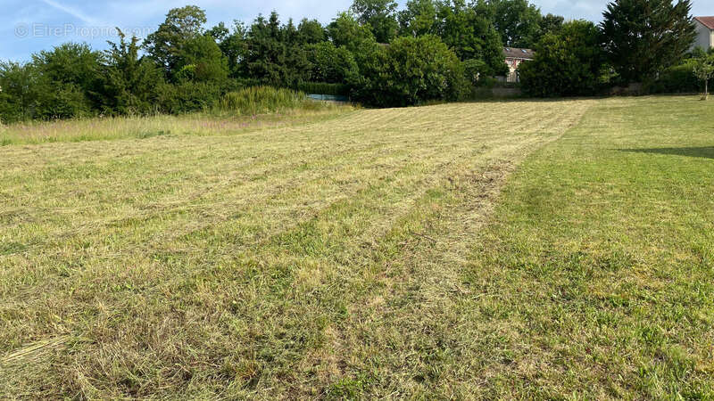 Terrain à L&#039;ISLE-SUR-SEREIN