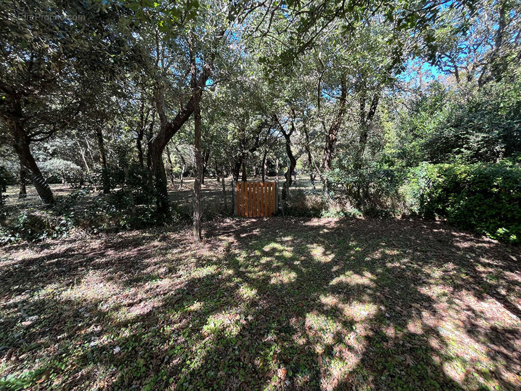 Maison à SAINT-PIERRE-D'OLERON