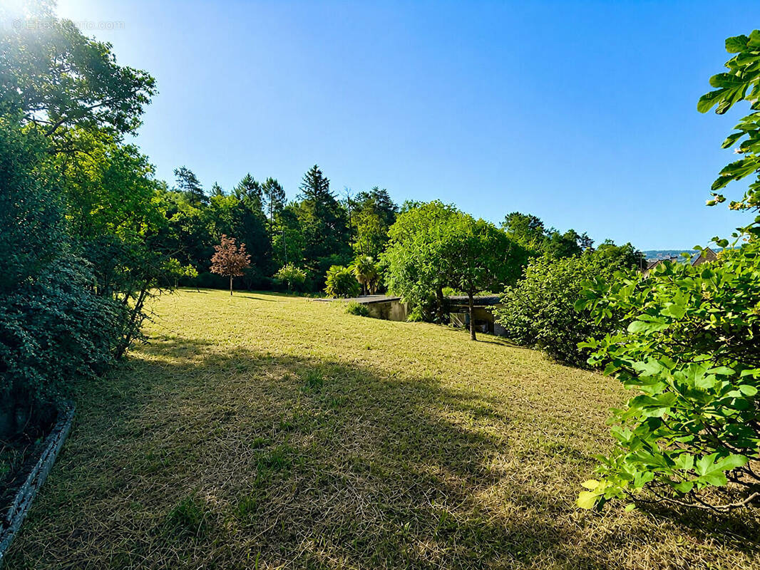 Terrain à BRIVE-LA-GAILLARDE