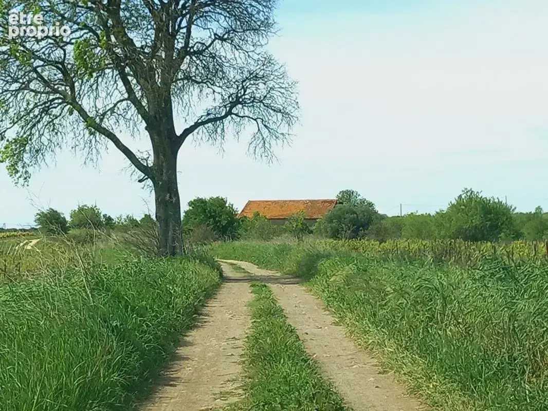 4,5 hectares de terre agricole avec  Grange de 95m2 à REHABILITER sur le terrain - photo 7