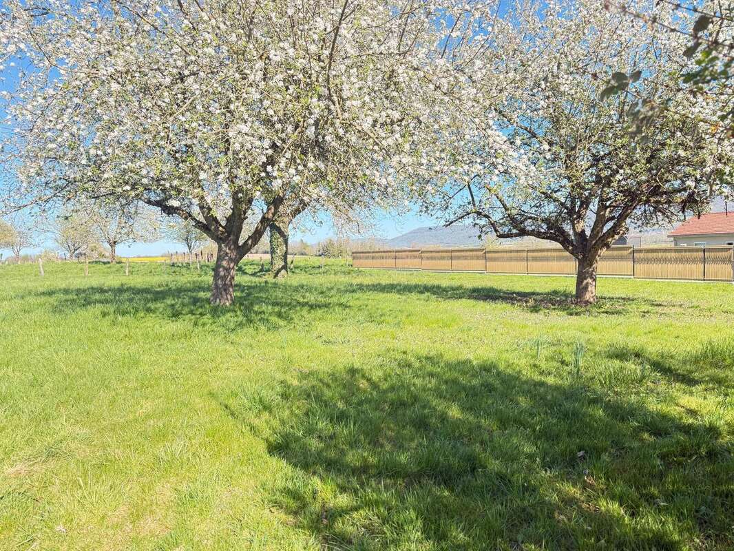 Photo 2 - Terrain à BUTHIERS