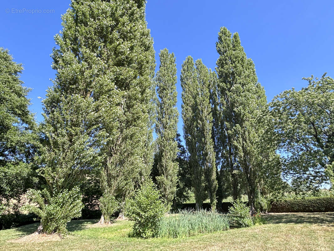 Attachée à son ecrin de verdure, cette magnifique propriété laisse réveur pour les amoureux de la nature... - photo 20