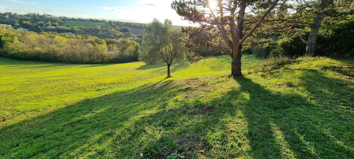 Terrain d'exception avec vue panoramique sur les pyrénées - photo 2
