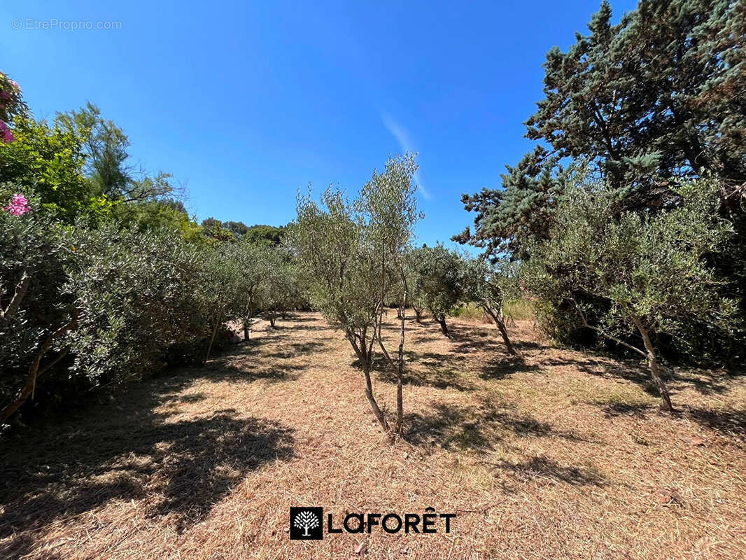 LE CASTELET ? Authentique Bastide du XVIIIe Siècle au Coeur des Vignes et des Oliviers terrain 6000 m² - photo 6