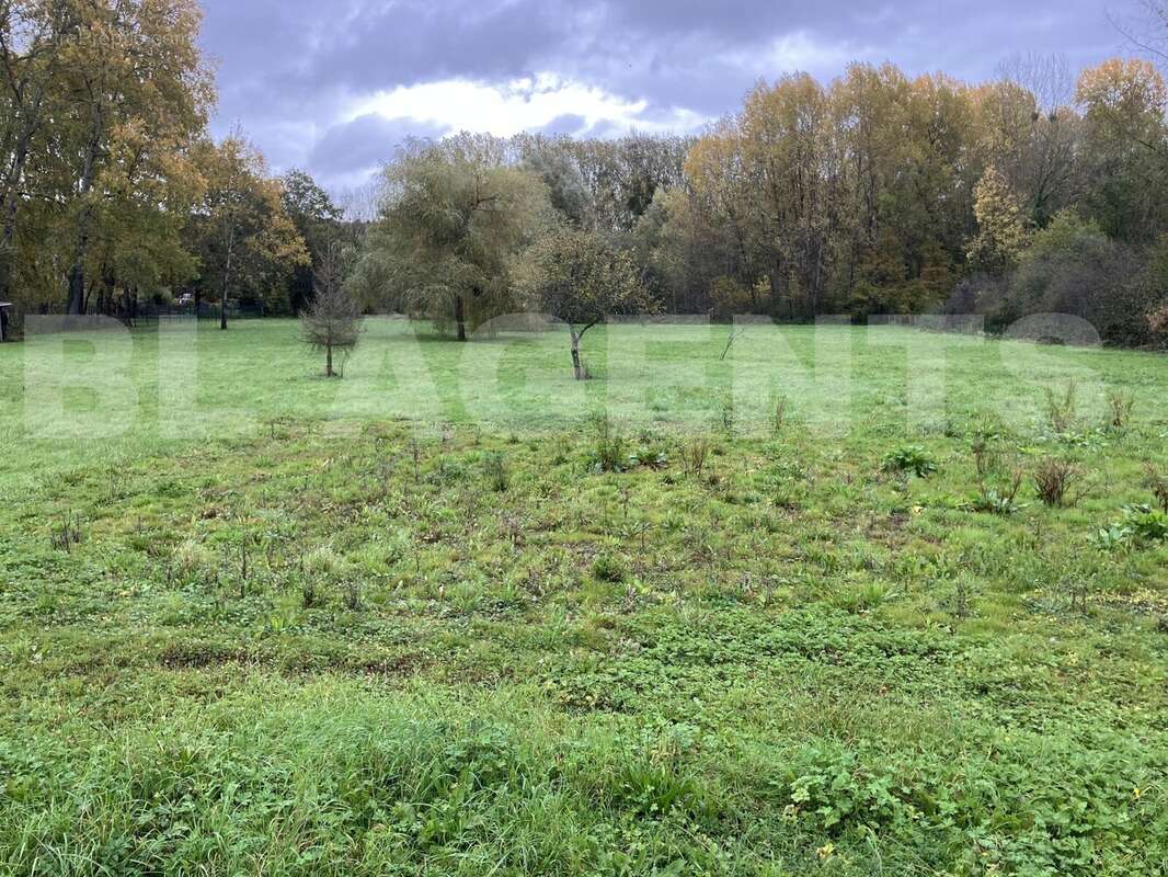 IMG_8053 - Terrain à LA FERTE-SOUS-JOUARRE