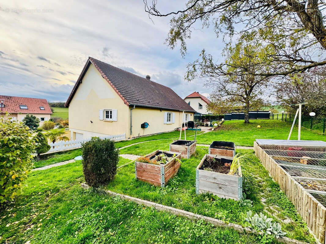 Maison à LENGELSHEIM