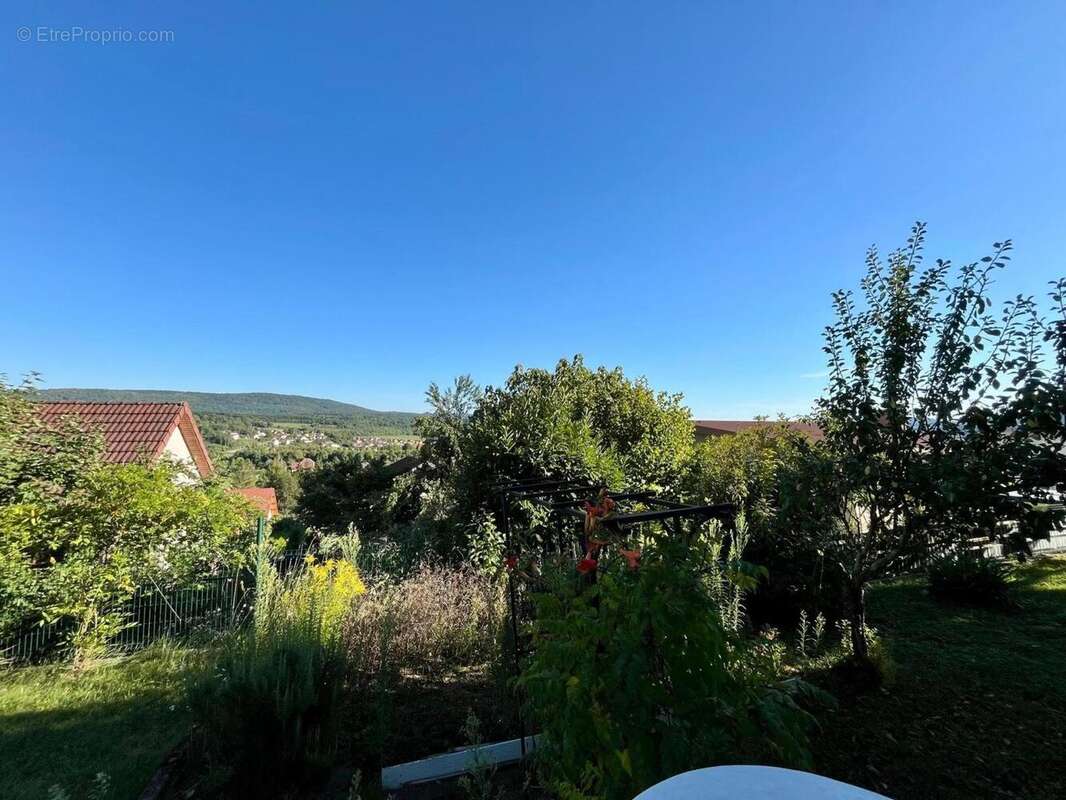 Photo 8 - Maison à QUINGEY