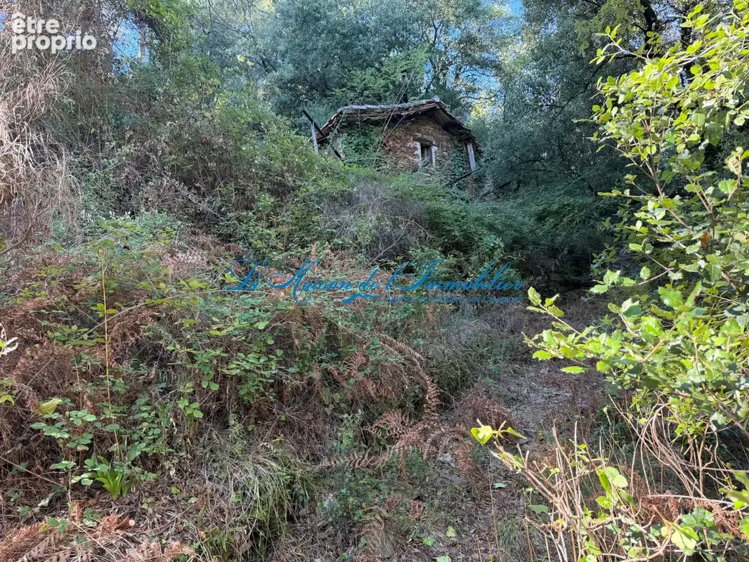GENOLHAC, mas en pierres de caractère 3 P2/P3, atelier, bergerie, clède, ruines, sur 8 hectares de terrain bor - photo 12