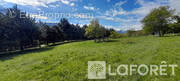 Terrain à CHATEAUROUX-LES-ALPES