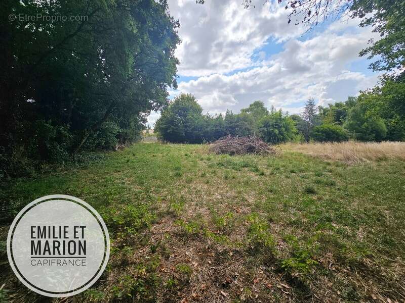 Terrain à GENOUILLE