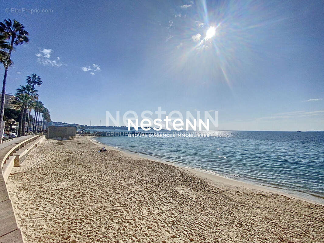 Commerce à ANTIBES
